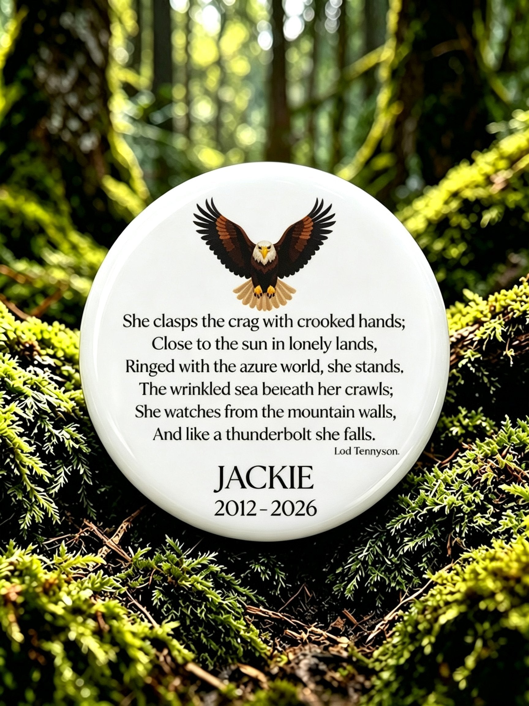National Forest Park Animal Brooch